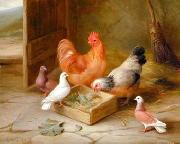 unknow artist Poultry 093 France oil painting artist